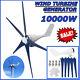 10000w Max Power 5 Blades Dc 12v Wind Turbine Generator Kit With Charge Controller