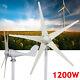 1200w Wind Turbine Generator With Charger Windmill Power Dc 12v/24v 5 Blades