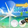 3000w Dc12/24/48v 3/5blades Wind Turbines Generator Horizontal Charge Controller