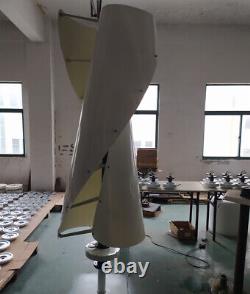 3000W Vertical Wind Power Turbine 48V 96V 220V Electro Maglev Wind Generator