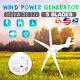 3000w Wind Turbine Generator Kit Dc 12v 5 Blades Windmill With Charge Controller