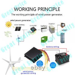 3000W Wind Turbine Generator Kit DC 12V 5 Blades Windmill with Charge Controller