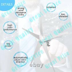 3000W Wind Turbine Generator Kit DC 12V 5 Blades Windmill with Charge Controller