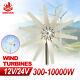 300w Wind Turbine Generator Kit 10 Blades Mppt Controller Home Power Dc 12v/24v
