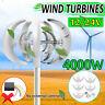 4000w Dc12/24v 5 Blades Lanterns Wind Turbine Generator Clean Energy Home Power