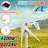 4200w 12v/24v Wind Turbine Genertor Kit Aerogenerator 5 Blades With Controller