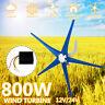 5 Blades 800w Max Power 12v/24v Wind Turbine Generator Kit With Charge Controller