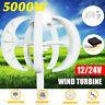 5000w 12v 24v 5 Blade Permanent Magnet Lantern Wind Turbine Generator Controller
