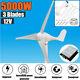 5000w Max Power 3 Blades Dc 12v Wind Turbine Generator Kit With Charge Controller
