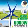 5000w Max Power 5blades Wind Turbines Generator Dc12/24v Charge Controller Top