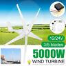 5000w Max Power Wind Turbines Generator 3/5blades+dc12/24v Charge Controller