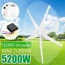 5200w 3/5blades Max Power Wind Turbines Generator Dc12/24v Charge Controller