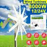 8000w 10 Blades Dc 12v/24v Wind Turbine Generator Kit With Charge Controller