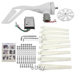 8000W 10 Blades DC 12V/24V Wind Turbine Generator Kit With Charge Controller