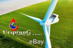 8000W 12V/ Windkraftanlage Windgenerator Turbine Windrad 5 Klinge