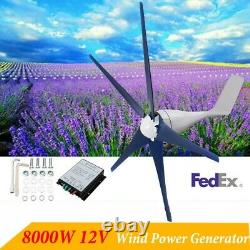 8000W Max Power 5 Blades DC 12V Wind Turbine Generator Kit withCharge Controller