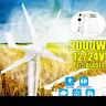 9000w Max Power 5 Blades Dc 12/24v Wind Turbine Generator With Charge Controller