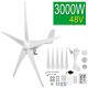Wind Turbine Generator Kit 3000w Powerful 5 Blades 12v/24v/48v Power Inverter