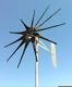 Wind Turbine 1250 Watt / 11 Blades Black 48 Volt Dc 2 Wire Pmg /pma