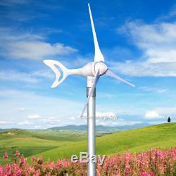 400 550 650 800 1000 Watt 24.12 V 06.03 Blades Wind Turbine Générateur + Controller