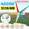 4000w 5 Lames Colorées 12v/24/48v Générateur De Turbine À Vent + Charge