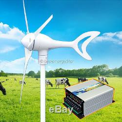 800 W 12 V Ac Wind Turbine Générateur 3 Blarge + Contrôleur Hybride