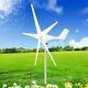 8000w 5 Lame Wind Turbine Kit Générateur D'énergie Éolienne Ac24v Avec Contrôleur De Charge