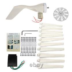 Kit de générateur d'éolienne 300W 10 pales contrôleur MPPT Puissance domestique DC 12V/24V